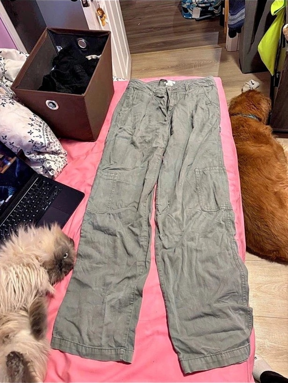 Green Wide Leg Pants